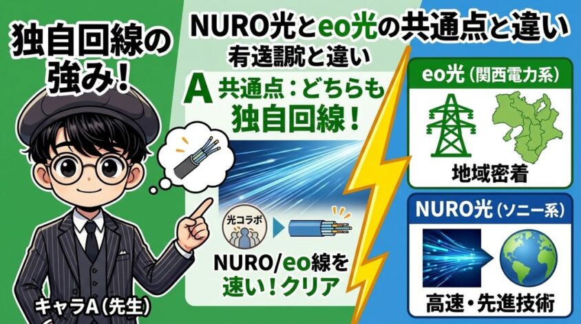 NURO光とeo光の共通点と関西電力系・ソニー系の違い